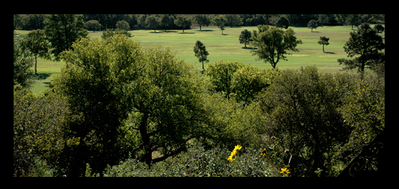 An Image Slideshow